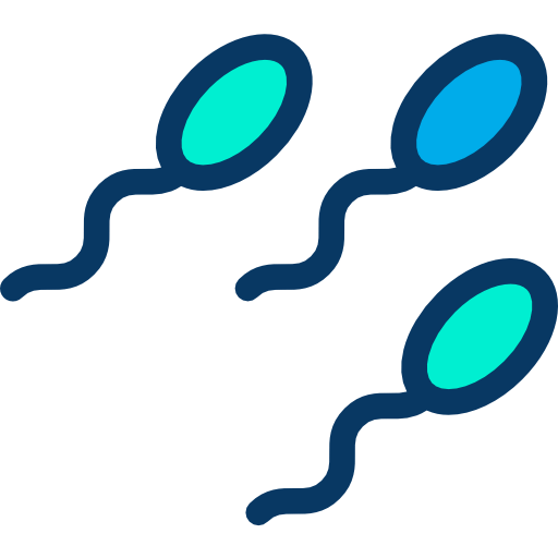 Sperm icon