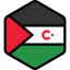 Sahrawi arab democratic republic icon 64x64