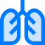 Lungs ícono 64x64