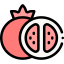 Pomegranate icon 64x64