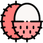 Rambutan 图标 64x64