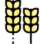 Пшеница иконка 64x64