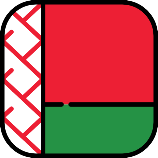 Belarus icon