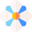 Flower Symbol 64x64