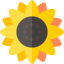 Flower Symbol 64x64