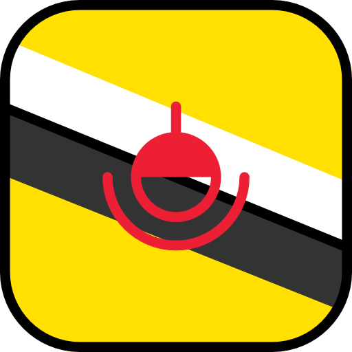 Brunei icon