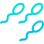 Sperm icon 64x64