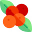 Berries Ikona 64x64