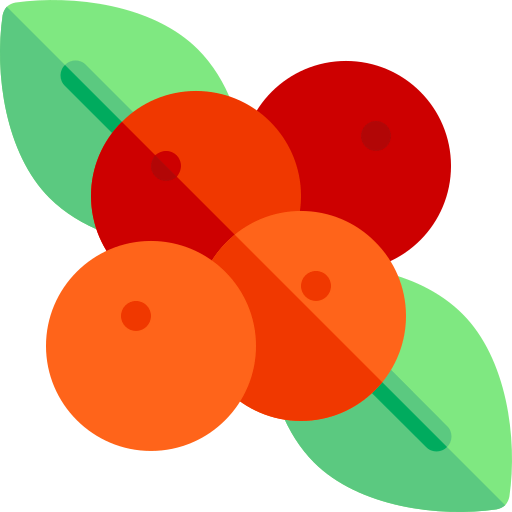 Berries icon