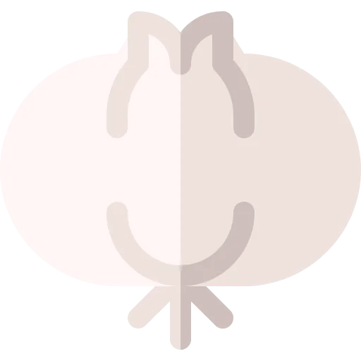 Garlic icon
