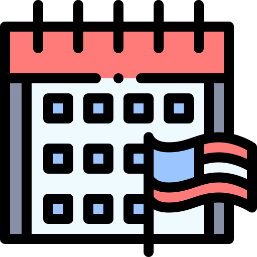 Election icon