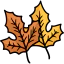 Maple leaf 图标 64x64