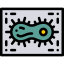 Biology Symbol 64x64
