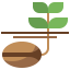 Seed ícono 64x64