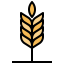 Barley icon 64x64