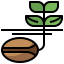 Seed ícono 64x64