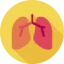Lungs ícono 64x64