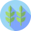 Herbs icon 64x64