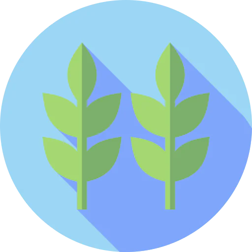 Herbs icon