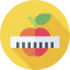 Diet icon 64x64