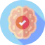 Brain icon 64x64