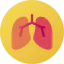 Lungs ícono 64x64