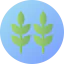 Herbs 상 64x64