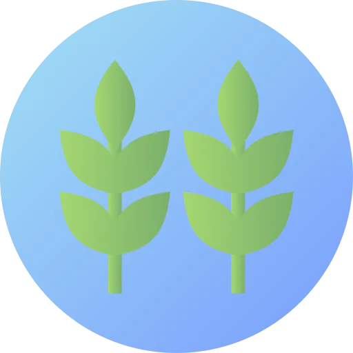 Herbs icon
