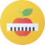 Diet Ikona 64x64