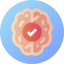 Brain icon 64x64