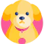 Puppy icon 64x64