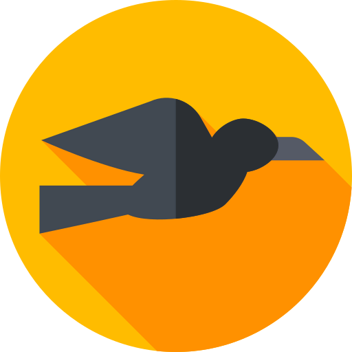 Raven icon