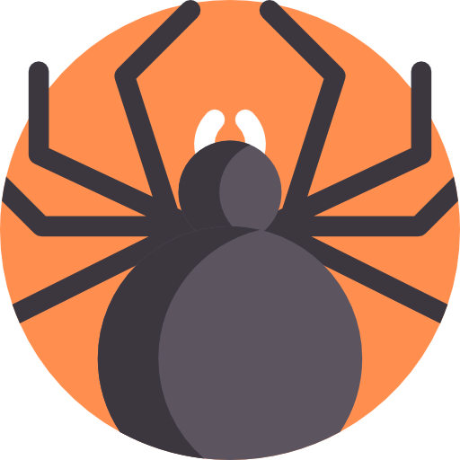 Spider icon