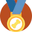 Medal icon 64x64