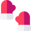 Mittens icon 64x64