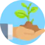 Sprout icon 64x64