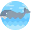 Whale icon 64x64