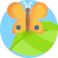 Butterfly icon 64x64