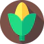 Corn icon 64x64