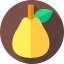 Guava icon 64x64