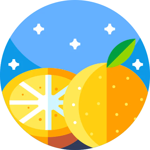 Orange icon