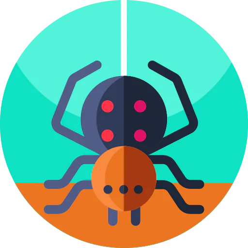 Spider icon