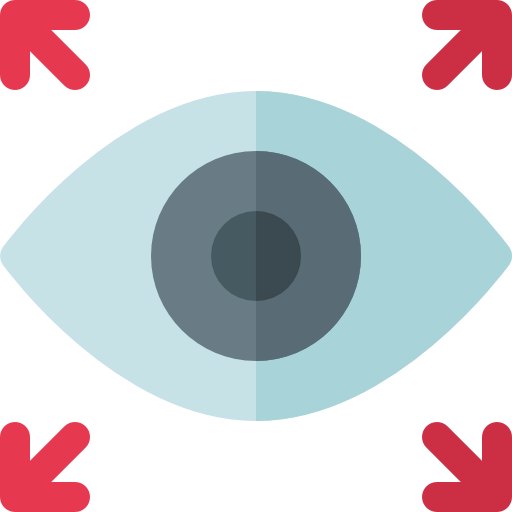 Vision icon
