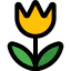 Macro icon 64x64