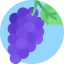 Grapes 상 64x64