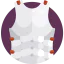 Armor ícono 64x64