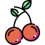 Cherry icon 64x64