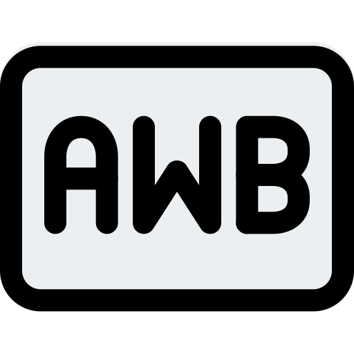 Auto icon