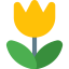 Macro icon 64x64