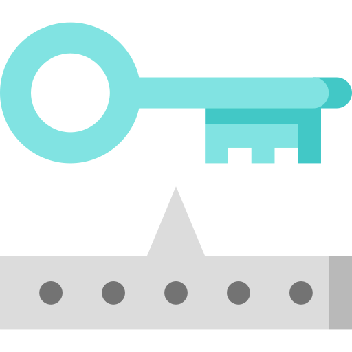 Password icon